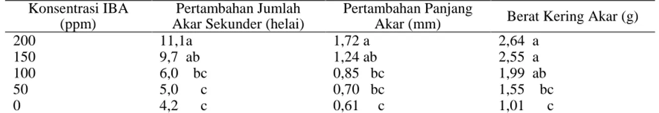 Tabel  1.  Pertambahan    jumlah  akar  sekunder,  panjang  akar  dan  berat  kering  akar    bibit  manggis  pada  umur 3 bulan setelah transplantasi pada berbagai konsentrasi IBA 