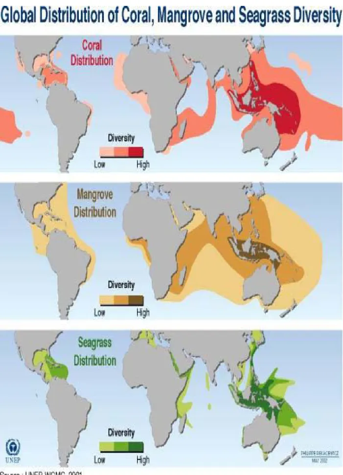 Gambar 18. Map Distribution Coral, Mangrove dan Rumput Laut  