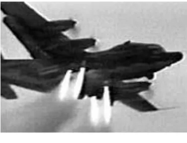 Gambar 3 Pesawat C 130 Hercules dengan 