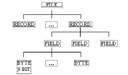 Gambar 12.1. Struktur data dari file 