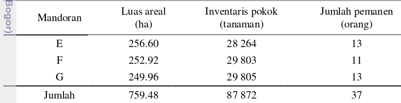 Tabel 7  Luas areal dan jumlah pemanen di Afdeling III 