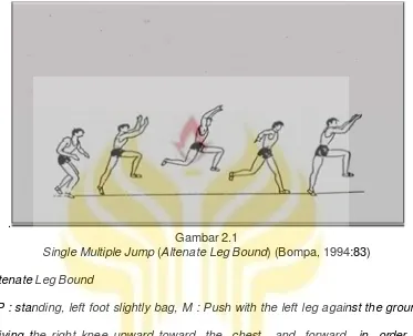 Single Multiple Jump Gambar 2.1 (Altenate Leg Bound) (Bompa, 1994:83) 