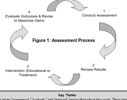 Figure 1: Assessment Process 