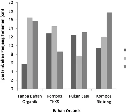 Gambar 1. Interaksi beberapa varietas terhadap pemberian berbagai bahan organik terhadap pertambahan panjang ubi jalar 5 MST.