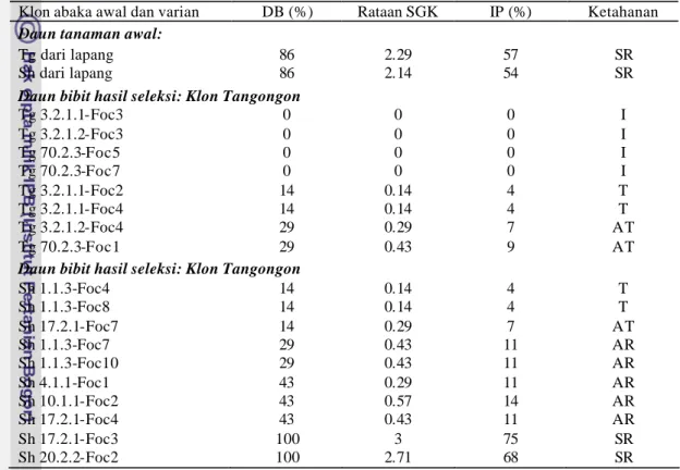 Tabel 13.  Persentase daun bergejala (DB), rataan skor gejala kerusakan (SGK),  intensitas penyakit (IP), dan ketahanan  klon varian abaka klon  Tangongon (Tg) dan Sangihe-1 (Sh) hasil seleksi  in vitro dalam media  dengan penambahan filtrat kultur  Fusari