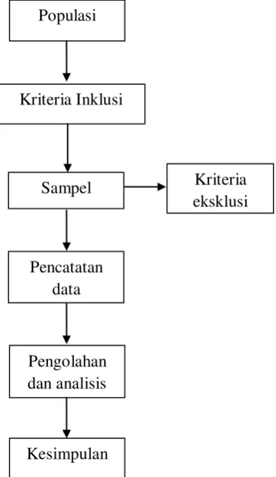 Gambar 3. Bagan alur penelitian 