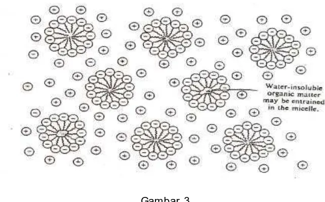 Gambar 3 Bentuk partikel-partikel koloid Micelle dari sabun