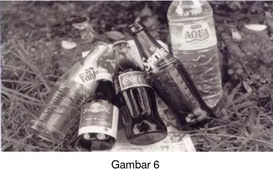 Gambar 6 Botol kaca dan plastis salah zat pencemar tanah 