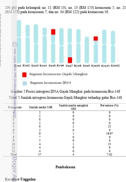 Tabel 5 Jumlah introgresi kromosom Gajah Mungkur terhadap galur Bio-148 