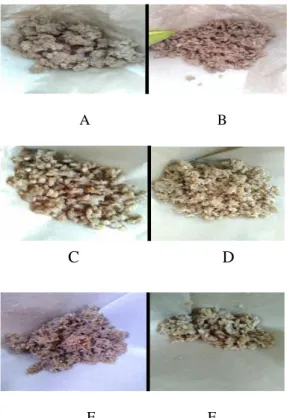 Gambar 5. Nasi beras analog dengan formulasi A, B,  C, D, E dan F 