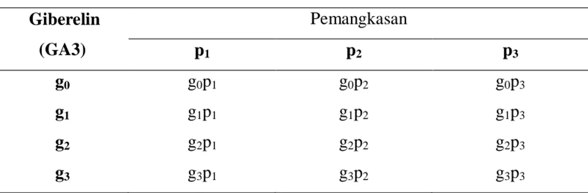 Tabel 3. Kombinasi Perlakuan   Giberelin  (GA3)  Pemangkasan p 1 p 2 p 3 g 0 g 0 p 1  g 0 p 2 g 0 p 3  g 1 g 1 p 1 g 1 p 2  g 1 p 3  g 2 g 2 p 1  g 2 p 2  g 2 p 3 g 3 g 3 p 1 g 3 p 2 g 3 p 3