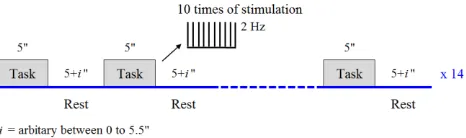 Fig. 1. Experimental design for electrical median nerve stimulation.