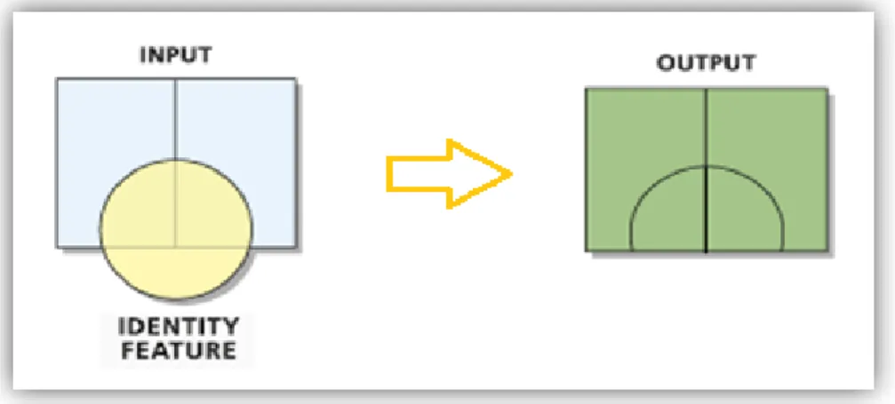 Gambar II.5.1. 3 Identity 