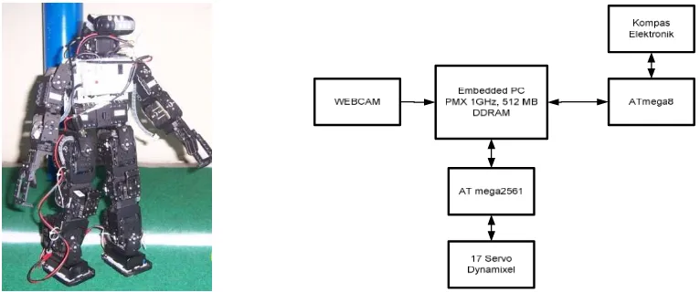 Figure 2. Humanoid robot soccer and block diagram of the humanoid robot soccer 