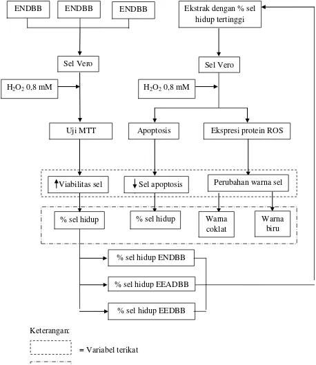 Gambar 1.1  Diagram kerangka pikir penelitian 