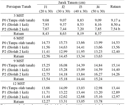 Tabel 2. Diameter batang pada beberapa persiapan tanah dan jarak tanam umur              3 – 12 MST 