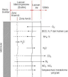 Gambar 2. Mekanisme  proses metabolisme  didalam biofilter (Arvin. E. dan Harremoes. 