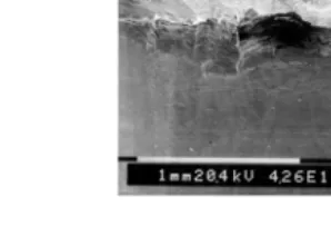 Figure 10.3  Severe flaking and thermal cracks on Tool A after 3.5                           minutes of face milling at 100 m/min 