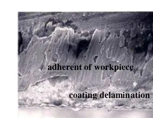 Figure 10.6  Delamination of coating and adherent of work material on            Tool B after face milling for 5 seconds at 55 m/min  