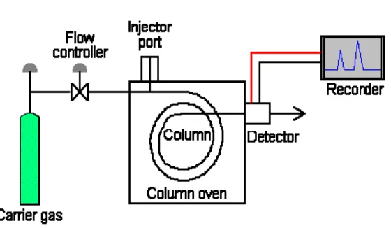 Gambar 1 Diagram Kromatografi Gas 