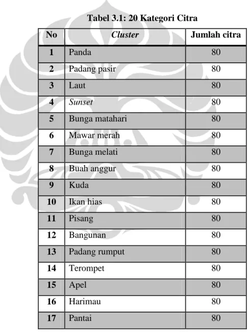 Tabel 3.1: 20 Kategori Citra 