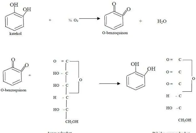 Gambar 7.  Reduksi o-quinon menjadi o-difenol dan oksidasi asam askorbat  menjadi dehidro asam askorbat (Eskin, 1991) 