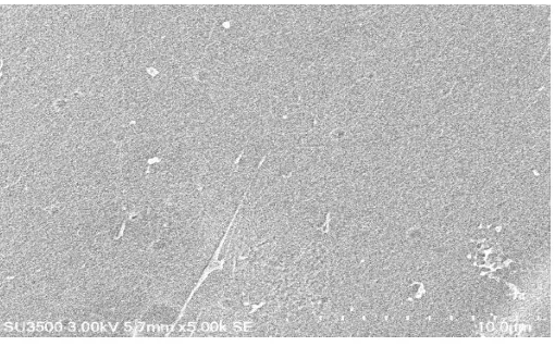 Gambar 5  Hasil karakterisasi SEM masker gel dengan perbesaran 5000x 