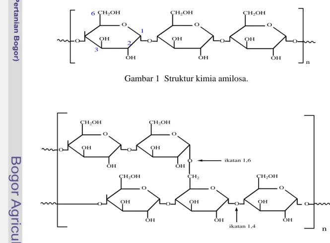 Gambar 1  Struktur kimia amilosa. 