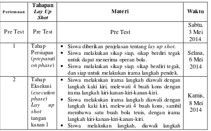 Tabel 3.1. Program Pelaksanaan Penelitian 
