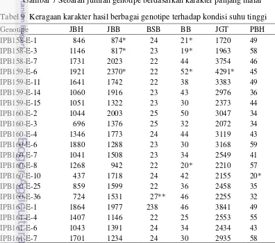 Gambar 7 Sebaran jumlah genotipe berdasarkan karakter panjang malai 