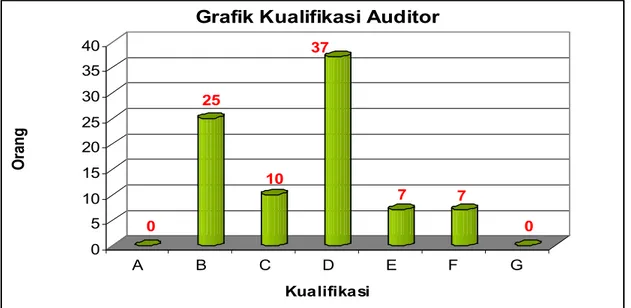 Grafik Kualifikasi Auditor