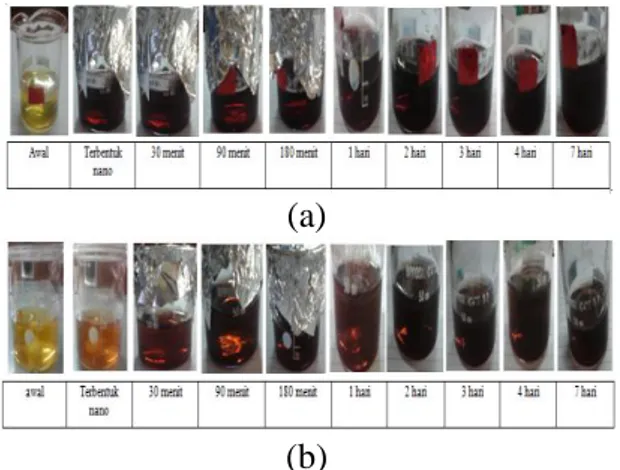 Gambar  11.  karakterisasi  warna  (a)  nanopartikel  emas,  (b)  nanopartikel  (Modifikasi TMT) 