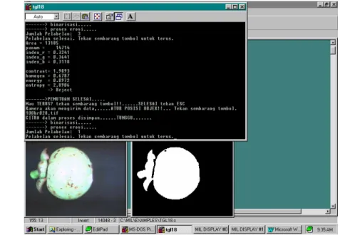 Gambar 4  Tampilan program setelah dijalankan (Sandra 2005). 