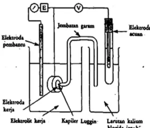 Gambar 2.6. Komponen Sel Elektrokimia Tiga Elektroda 