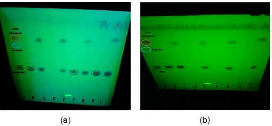 Gambar 6.  Kromatogram KLT: (a) sampel 1-4 dan (b) sampel 5-8. Keterangan: Lempeng KLT silika gel GF250, fase gerak kloroform-etanol (8:1), detektor lampu UV 254 nm