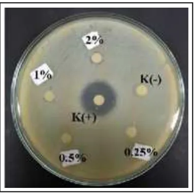 fig.2Gambar 2. Hasil uji aktivitas antibiotik 