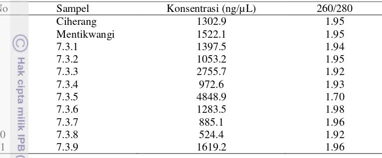 Tabel 3 Kuantitas dan kemurnian DNA hasil isolasi tanaman padi BC3F2 galur 7.3 