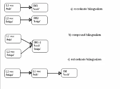 Fig. 1. Bilingualism and the system of meaning. a) coordinate bilingualism, b) compound bilingualism, c) subordinate bilingualism, where L1 voc