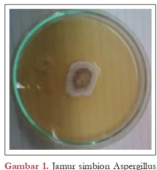 Gambar 2. Kurva pertumbuhan jamur A. unguis pada media cair (statis)