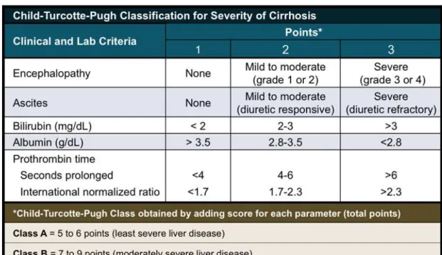 Gambar 2. Klasifikasi Child-Turcotte-Pugh 6 