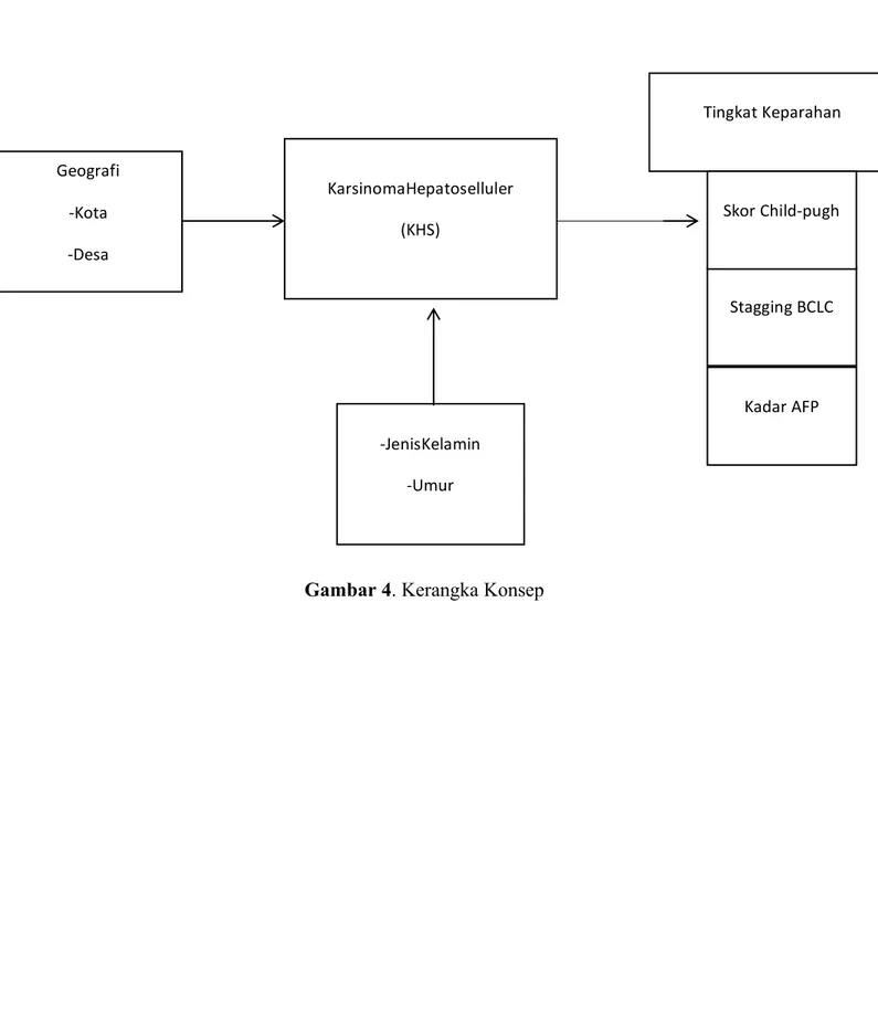 Gambar 4. Kerangka Konsep KarsinomaHepatoselluler	(KHS)	Geografi	-Kota	-Desa	 Tingkat	Keparahan	Kadar	AFP	Stagging	BCLC	Skor	Child-pugh	-JenisKelamin	-Umur	