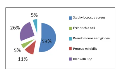 Gambar 1. Parameter klinis tanda-tanda infeksi pada pasien