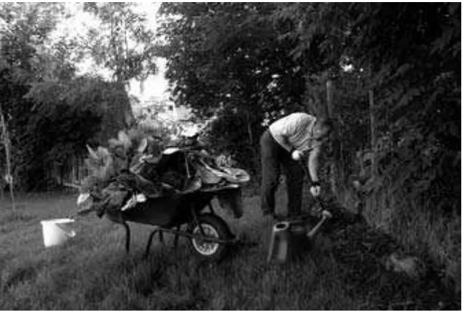 Figure �with David (and sometimes Anne too) through the garden. I walked along the new pathway,photographed David at work in the garden and met other local residents as they also passedthrough the garden or came over to chat