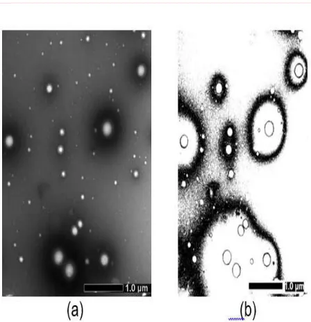 Gambar 2. Hasil uji TEM (a) dan ImageJ® (b) morfologiformula optimum submikro partikel PLGA-BMV