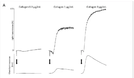 Gambar 4.4 : Hasil agregasi trombosit dengan menggunakan induktor            kolagen   dapat dilihat stabil dengan konsentrasi 0,3µg/ml 