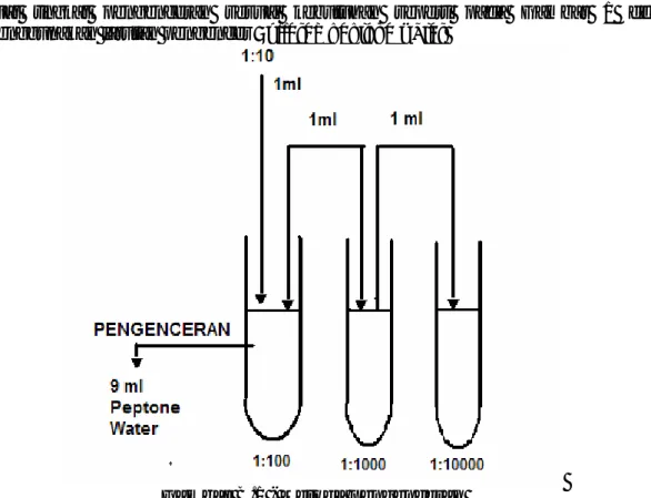 Gambar B.1 - Metoda pengenceran 