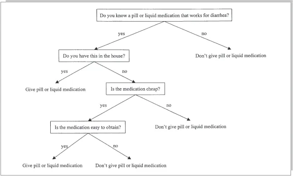 Figure 29.7. Decision Model of Constraints on the Use of Pills or Liquid Medications for Mothers Treating Children with Diarrhea in Rural MexicoSOURCE: Based on data in Ryan and Martínez (1996).