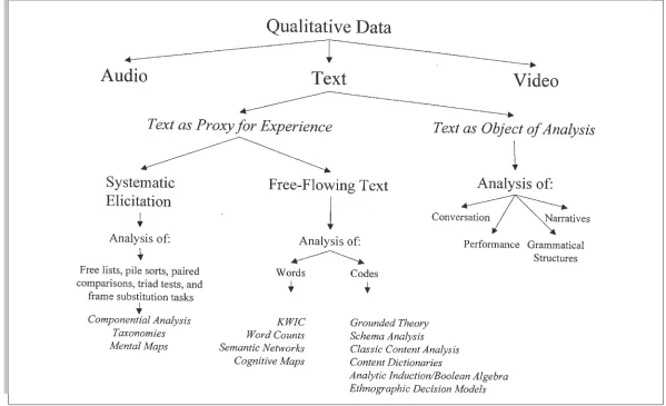 Figure 29.1. Typology of Qualitative Analysis Techniques