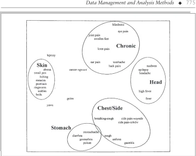Figure 29.3. Mental Map of Kom Illness Terms