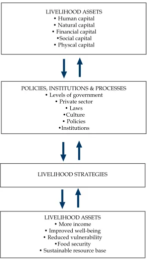 Figure 3: The Sustainable Livelihoods Framework